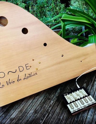 La Voix du Luthier