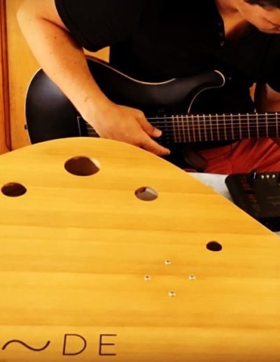 La Voix du Luthier