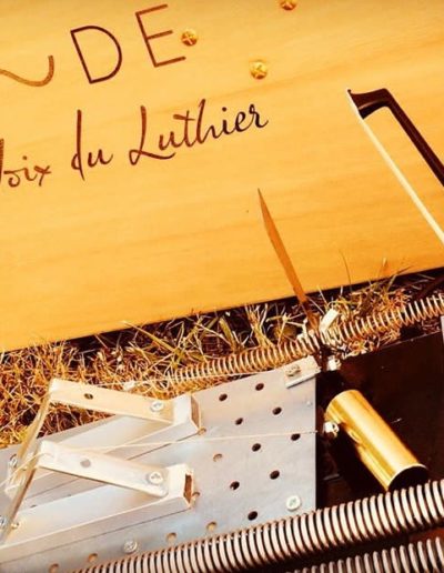 La Voix du Luthier