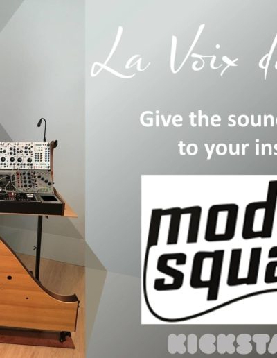 La Voix du Luthier - Modularsquare banner