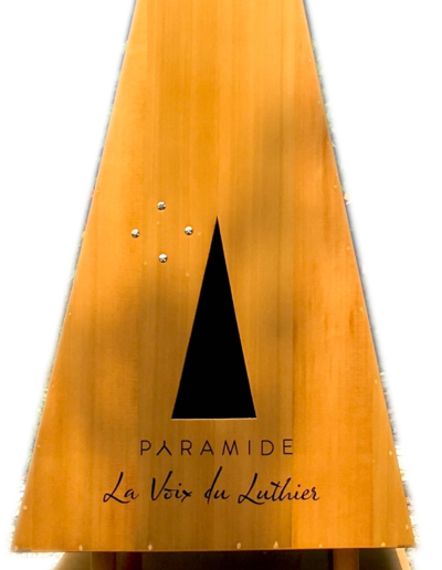 La Voix du Luthier