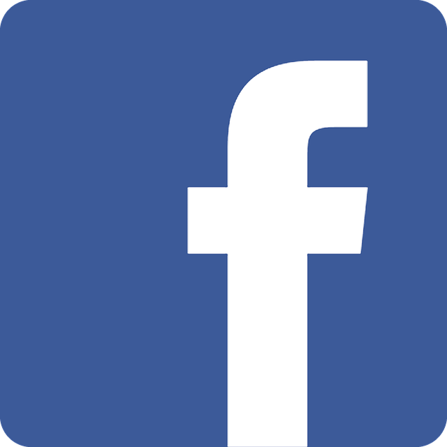 La Voix du Luthier Facebook
