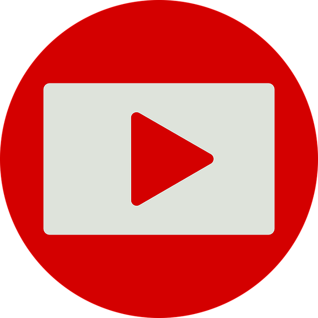La Voix du Luthier Youtube
